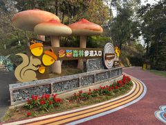 -广州市流溪河国家森林公园