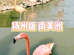 -扬州市茱萸湾风景区