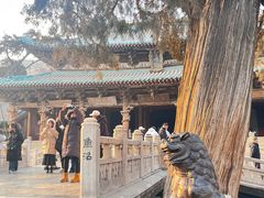 -晋祠博物馆