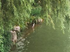 -济南大明湖景区