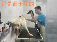 -达爱动物医院·犬猫分区·CT·复杂眼科(远洋山水分院)