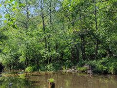 -玉渡山自然风景区