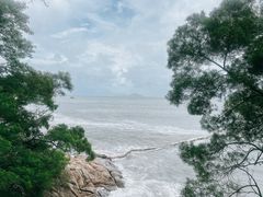 -南丫岛