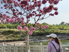 -广州莲花山旅游区