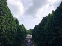 -井冈山革命烈士陵园