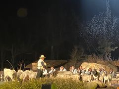 -禅宗少林·音乐大典