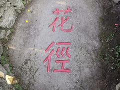 -庐山风景区花径公园