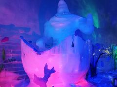 -世界之窗阿尔卑斯冰雪世界