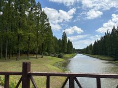 -黄海国家森林公园