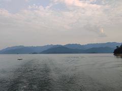 -浔味·山屿湖·正宗淳牌全鱼宴老字号