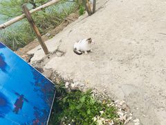 -婺源月亮湾