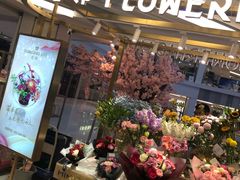 门面-台北楚楚园馅饼粥(虹桥南丰城店)