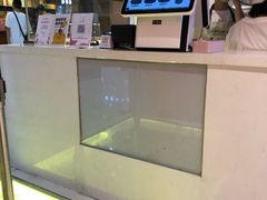 -狐狸和向日葵(北京路店)