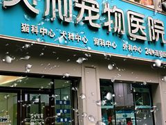 -贝利宠物医院·骨科·眼科·肿瘤转诊中心(南坪诊疗中心)