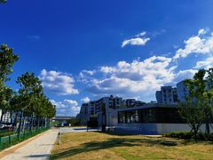 -罗氏牛肉粉大王