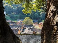 -杨家堂村