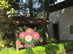 -枫泾古镇-人民公社旧址