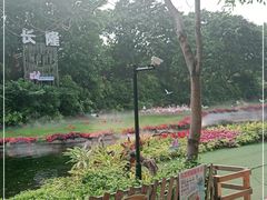 -广州长隆飞鸟乐园