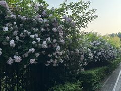 -中卫御苑福膳·养生局(圆明园店)
