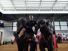 -东芭乐园