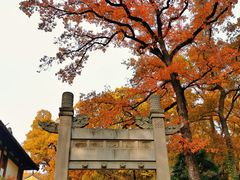 -灵谷景区
