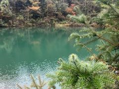 -四明山国家森林公园