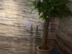 -泽云梵莲花足浴 按摩 SPA(滨湖店)