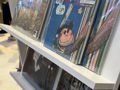 -浣熊唱片店(上海影城店)