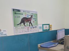 -乖乖宠物医院·猫科·急重症中心(车站北路分院)