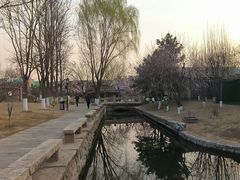-三里河公园