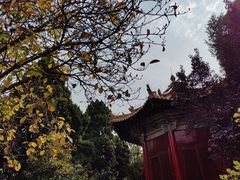 -西安碑林博物馆
