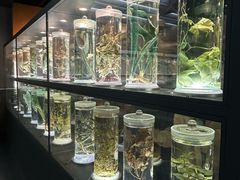 -广东中医药博物馆