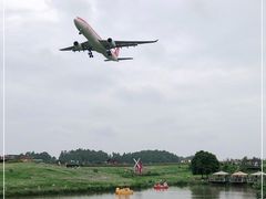 -空港花田景区