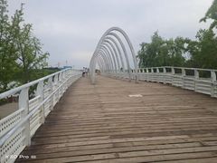 -大兴滨河森林公园