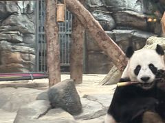 -武汉动物园