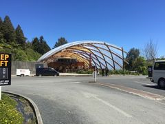 -怀托摩萤火虫洞