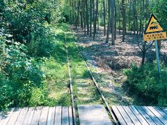 -合肥滨湖国家森林公园