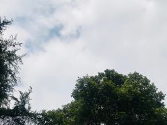 -恩阳古镇