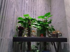 -chenity  cafe