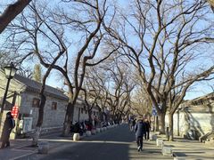 -北京国子监胡同
