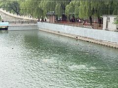 -皇家御河游(紫御湾码头)