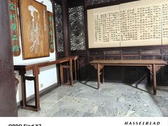 -趵突泉景区