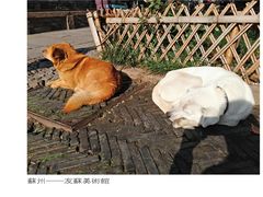 -平江历史文化街区-友苏美术馆