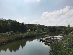 -上海长兴岛郊野公园