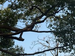 -西湖外事游船(花港观鱼码头)