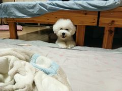 -艾贝尔宠物医院·24H转诊中心·肿瘤猫专科(江宁双龙店)