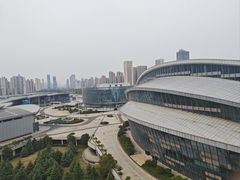 -武汉洲际酒店