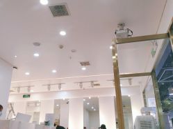 -YESIDO椰岛造型