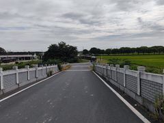 -莲花岛景区