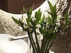 -小仙女采耳·按摩·SPA(深圳旗舰店)